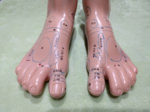 足ツボマッサージ反射区
